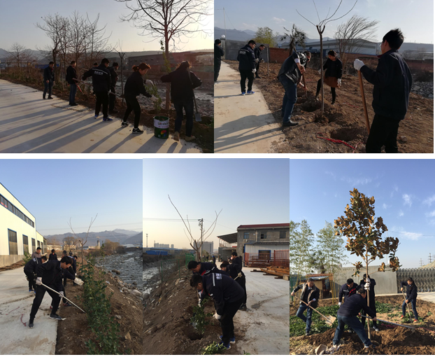 寶雞捷銳“迎春風，綠家園”植樹節(jié)(圖1)