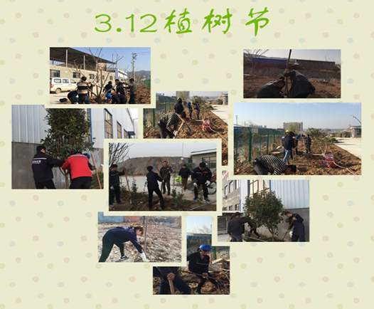 寶雞捷銳“迎春風，綠家園”植樹節(jié)(圖3)